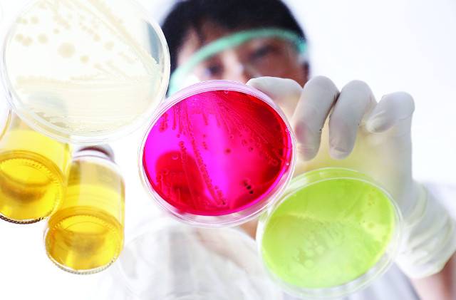 게티이미지뱅크