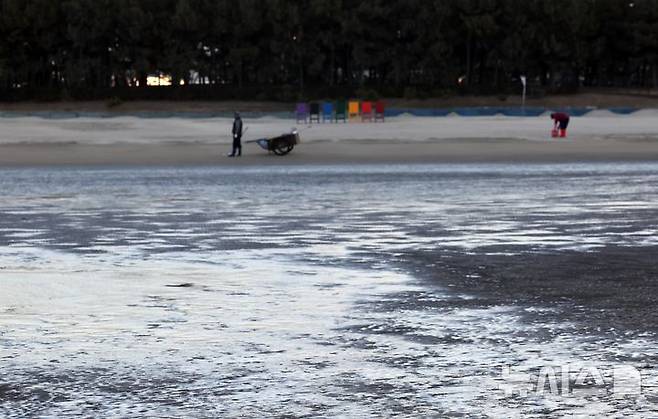 [부산=뉴시스] 하경민 기자 = 전국에 한파가 덮친 4일 부산 사하구 다대포해수욕장 백사장 일부가 얼어 있다. 2025.02.04. yulnetphoto@newsis.com
