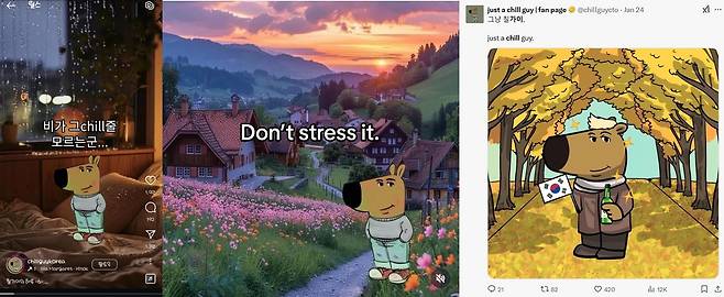 칠 가이가 활용된 다양한 인터넷 밈 갈무리. (출처 : chillguykorea, 인스타그램 등)