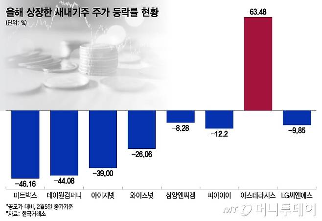 올해 상장한 새내기주 주가 등락률 현황/그래픽=이지혜