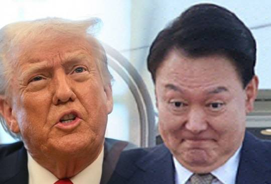 AFP연합뉴스, 뉴시스