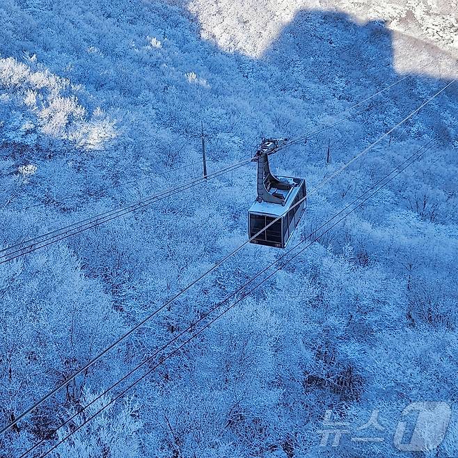 눈꽃세상 이미지