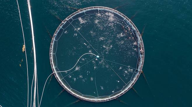 /레로이 오로라 제공