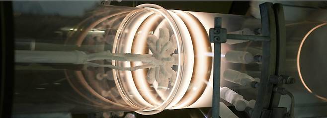 원익QnC가 반도체용 쿼츠를 생산 생산하는 모습. /원익QnC 제공