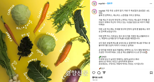 채소생활(@vegelab)은 지난달 6일 월동채소로 구성된 ‘채소박스 소한편’을 인스타그램에 소개했다. 이윤선씨가 디자인한 채소 사진 그래픽이 첨부돼 있다. 인스타그램 갈무리