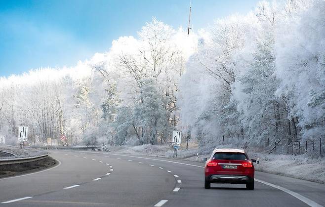 모젤강으로 향하는 도로의 상고대 [사진/성연재 기자]