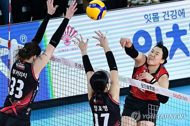 공격하는 이한비 (대전=연합뉴스) 26일 대전 충무체육관에서 열린 2024-2025 여자 프로배구 V리그 정관장과 페퍼저축은행의 경기. 페퍼저축은행 이한비가 공격하고 있다. 2025.1.26 [한국배구연맹 제공. 재판매 및 DB 금지] coolee@yna.co.kr