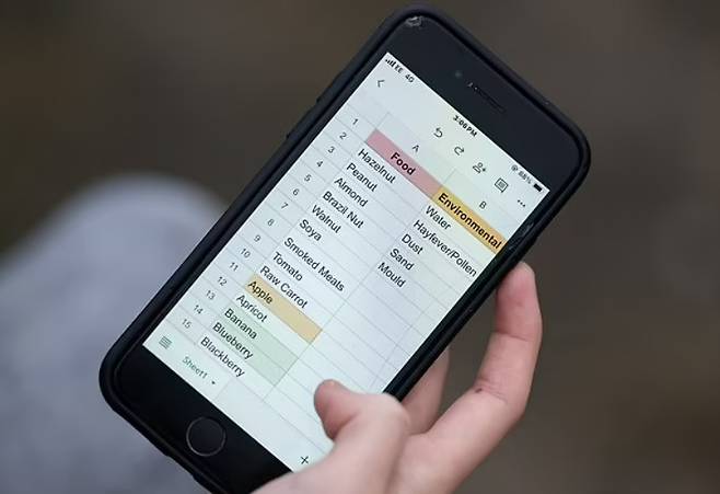 クロエはエクセルシートを使用してアレルギー物質を整理しています。 [사진='데일리메일' 보도내용]