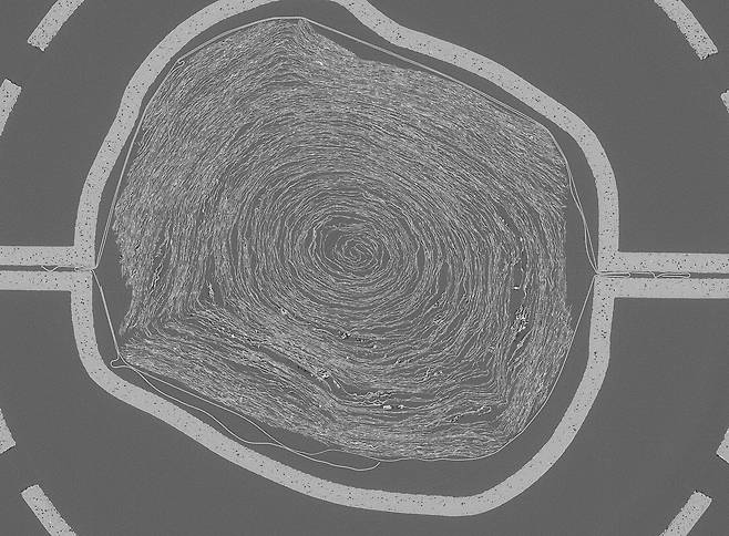 말려 있는 두루마리 문서의 내부 모습. /AP 연합뉴스