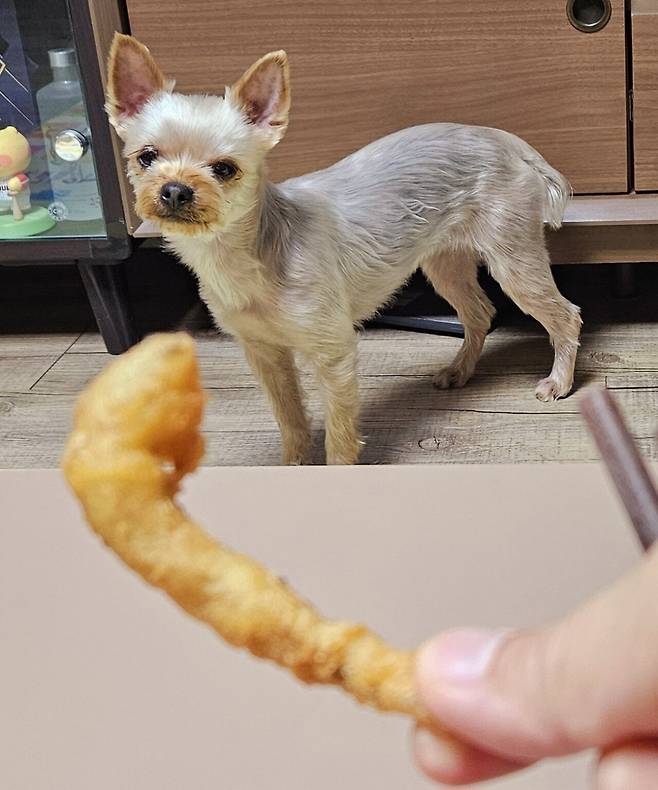 20250206_224836.jpg 저녁 포장해온 미꾸라지 튀김에 한잔