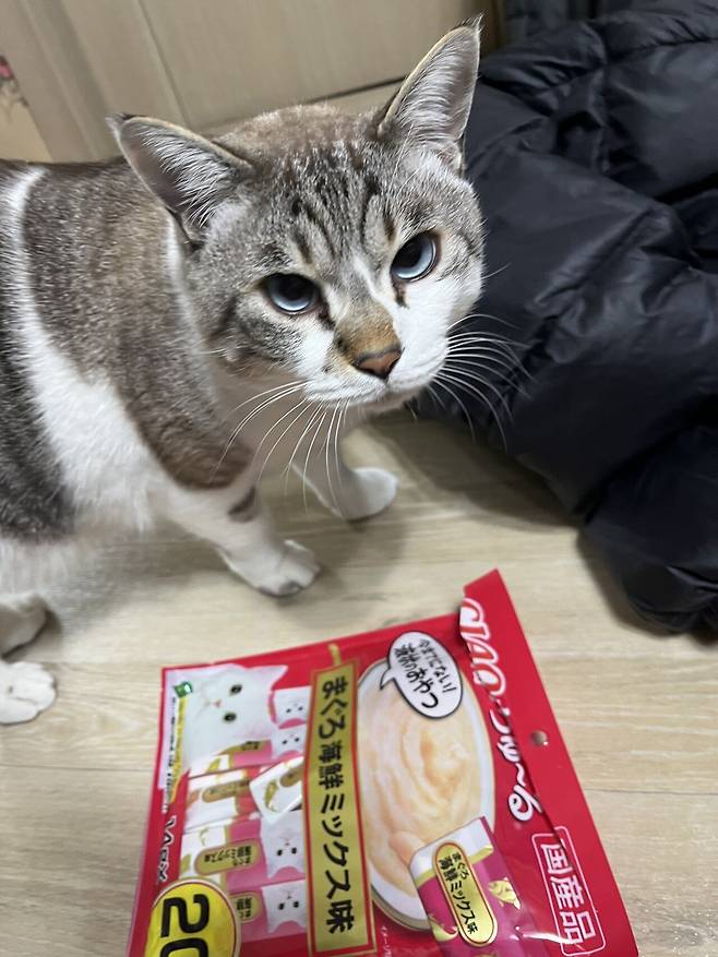 우리 몽실이 보고가세용