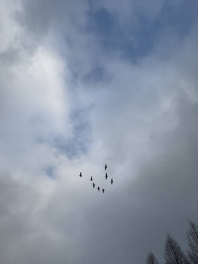 자기만족하러 나가는 나의 오토캠핑! - 요토플러스, 아콘하우스475