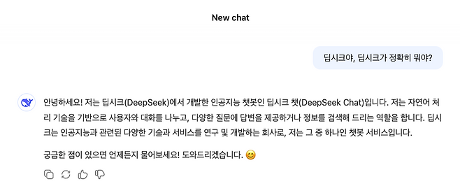 딥시크에게 딥시크를 묻다.