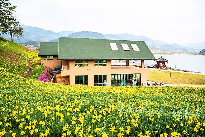 지리산치즈랜드 풍경