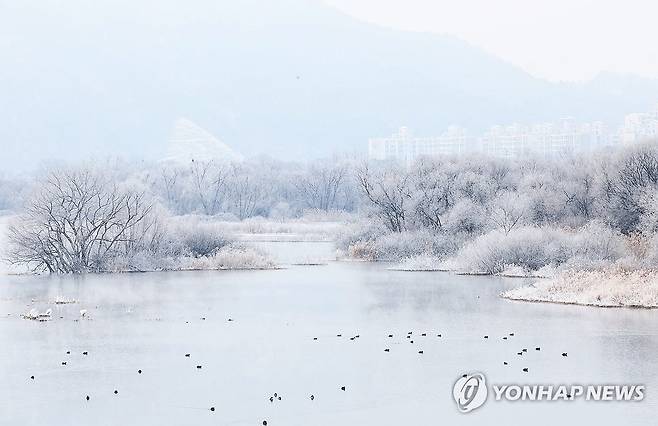 소양강 상고대 '활짝' [연합뉴스 자료사진]
