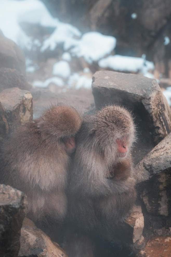 098ef376b7816cf523ee98bf06d6040313c4b0ea2d8d0e11d708de