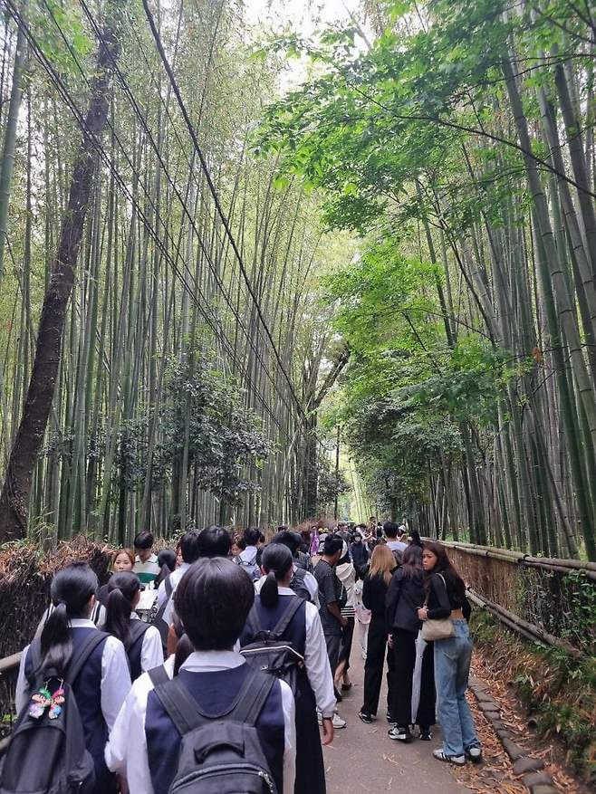 79ec9e2cf5d518986abce8954387716ab31811