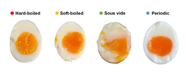 논문에서 캡처.