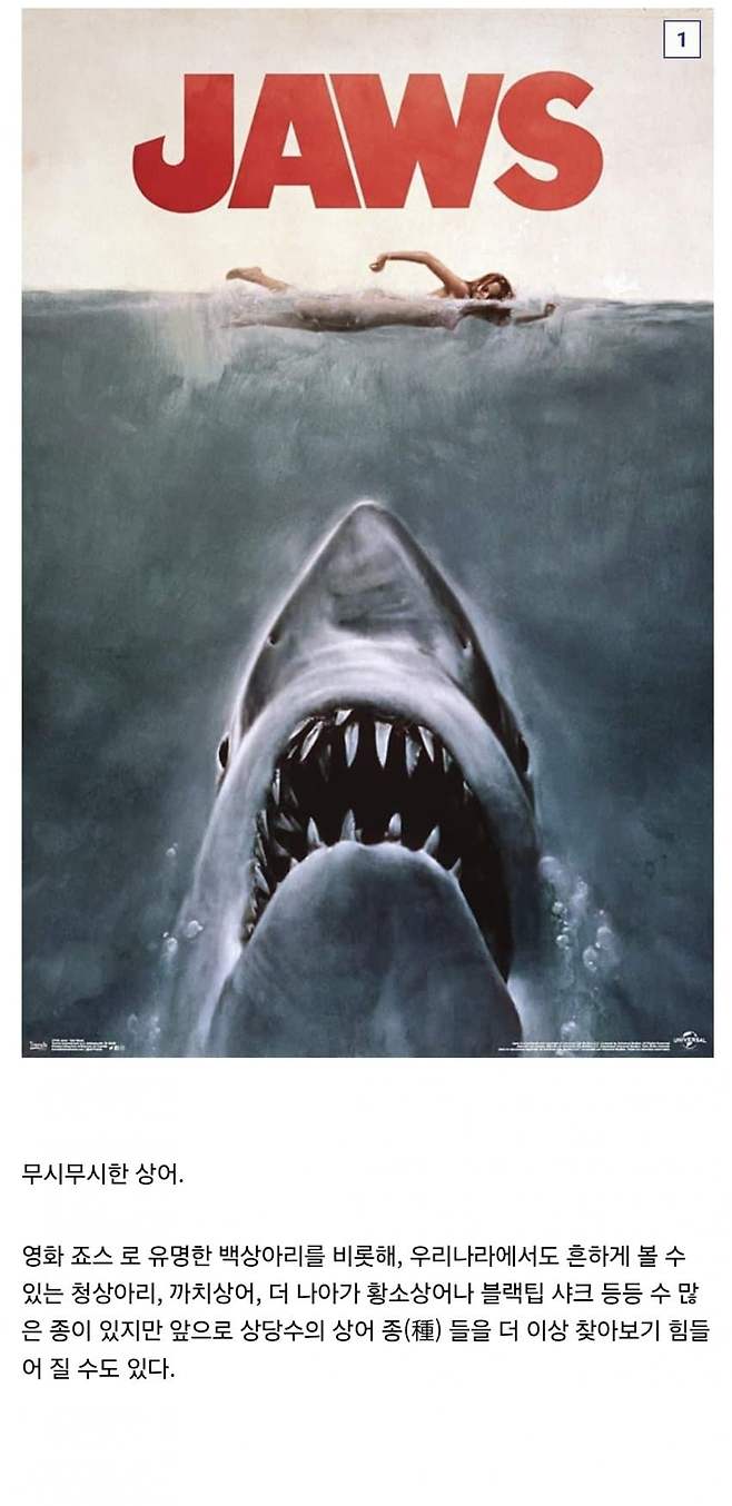 2.jpg 중국요리 샥스핀의 추악한 진실