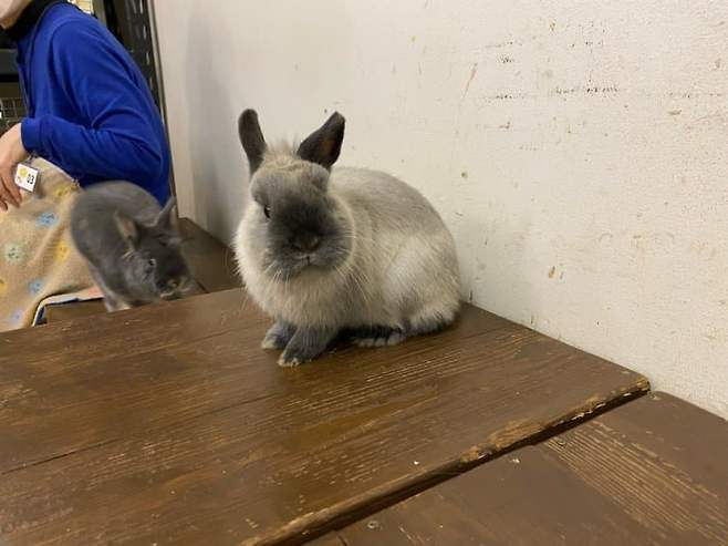 79ebf504b2821df4239c8e93429c701ef824730ebd34521b94ce65f2527b80b2a2f79f139ca3d6e5bff24b2890cd3bcaf452cab5