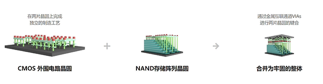 YMTC '엑스태킹(Xtacking)' 기술은 두 개의 웨이퍼를 직접 본딩하는 방식을 사용한다. CMOS 웨이퍼(로직)와 NAND 어레이 웨이퍼를 결합한다.