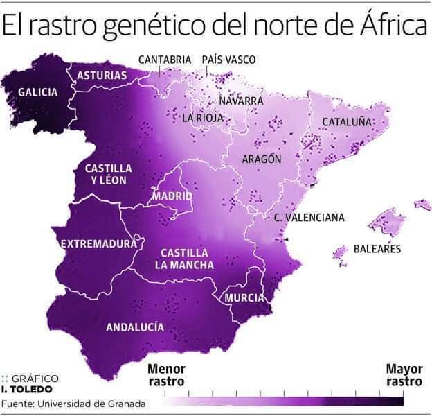 1729580087231.jpg 스페인,포르투갈과 알제리,북아프리카 사람들의 의외의 특징