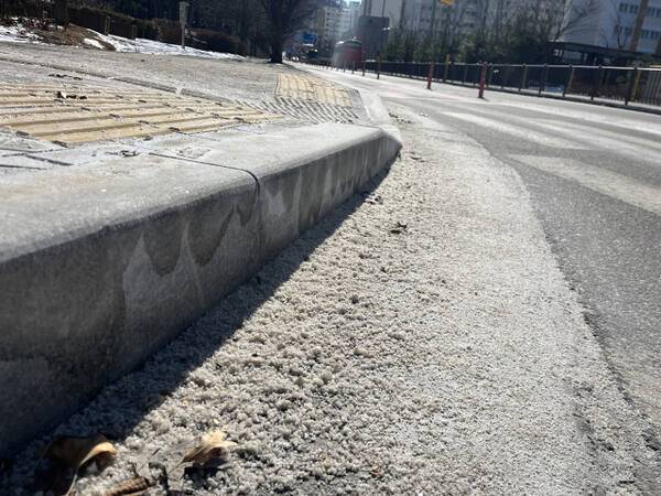 9일 오후 2시께 시흥시 장현동 아파트 단지 인근 도로 옆에 제설을 위해 뿌려 놓은 소금(염화나트륨)이 수북이 쌓여 있다. 김형수기자