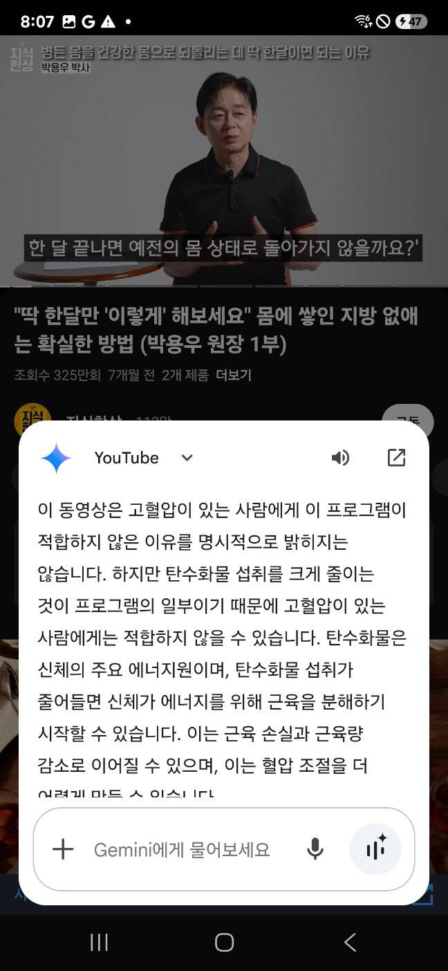 제미나이가 유튜브 내용을 요약해주는 모습(사진=임유경 기자)