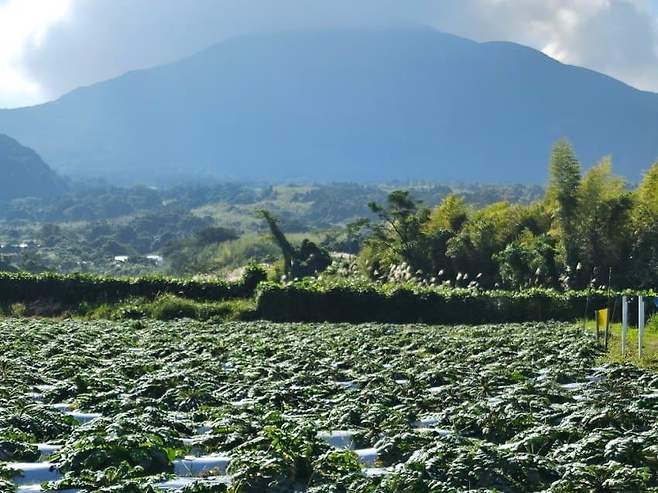 28b9d932da836ff537ee84ed4e83746edff970d197f82b2d6b10047f726908577bb2