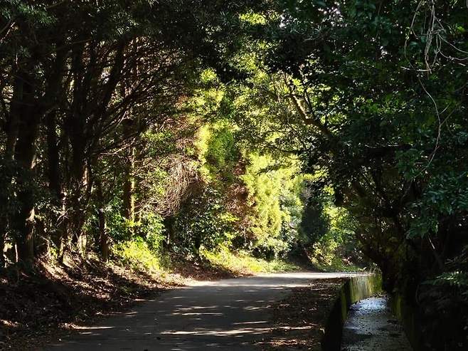 28b9d932da836ff537ee84ed4e8272659f4c4505c461f5b0bc12fab2c993b043b21b