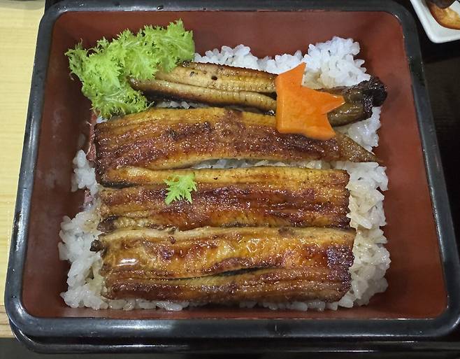 P20241228_120020076_43EF24A9-06EB-4CC4-8539-5BA544DA215F.jpg 스압) 30살 기념 나홀로 야쿠시마 여행 [3일차-야쿠시마]