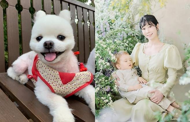 사유리 소셜미디어