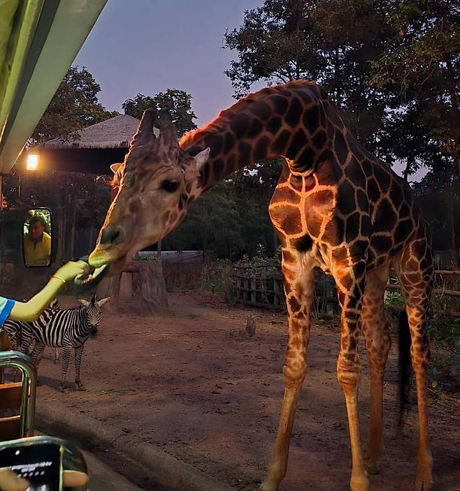 사진=제이쓴 SNS