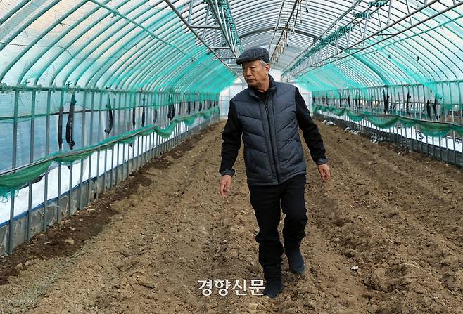 강원 양구 방산면 송현2리 주민 연제원씨가 지난달 23일 수입천댐 수몰예정지에 있는 자신의 비닐하우스 내부를 살펴보고 있다. 양구 | 서성일 선임기자