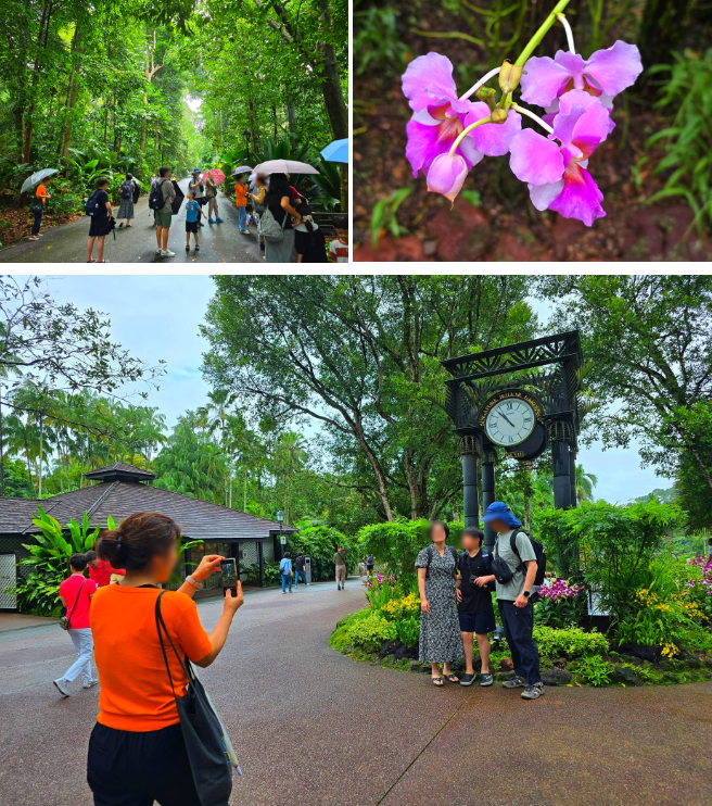 일솔자가 보타닉 가든에서 가족사진을 찍어주고 있다 / 사진=김혜성 여행+ 기자