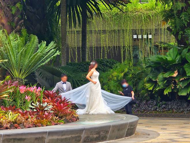 가든스 바이 더 베이 내부/ 사진=김혜성 여행+ 기자