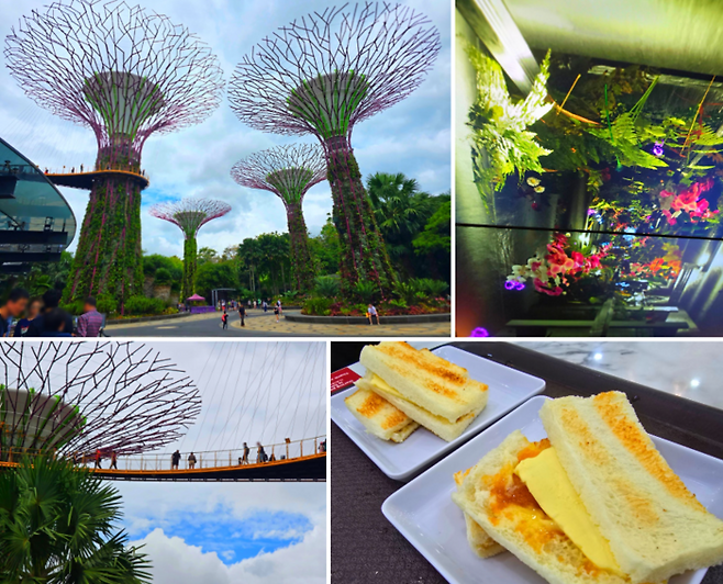 가든스 바이 더 베이 내부와 카야 토스트/ 사진=김혜성 여행+ 기자