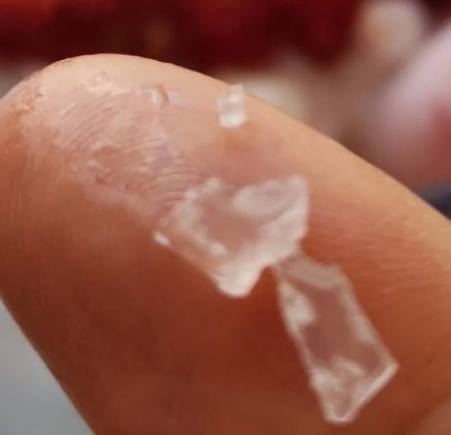 딸기 스무디와 그 안에서 발견된 플라스틱 조각들. 계랑 스푼을 넣고 함께 분쇄한 것으로 파악됐다. (사진=사회관계망서비스)