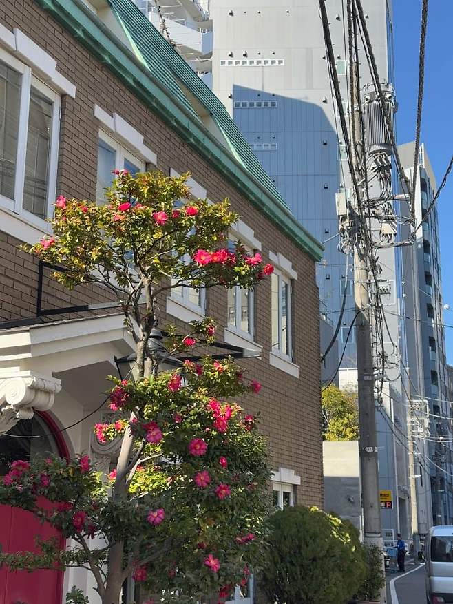 089ff271b6841b8023e7f3e6479c70644aca3cf46f828e2860fc30fbe3a00057608d40cf0aadcfe5881b11523e7fb8d06305b0358c