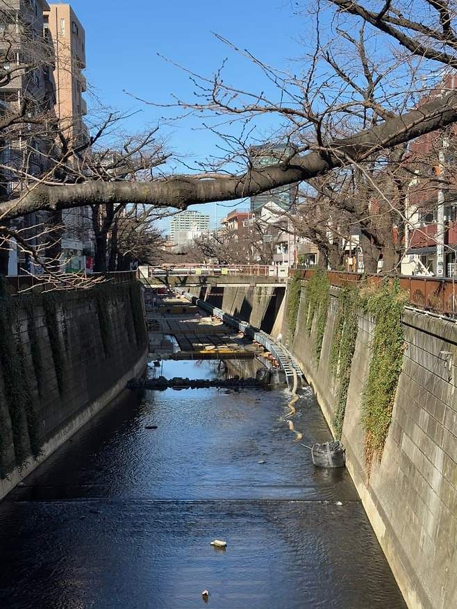 75e98572bc841df323ea86e5359c70647a587c3639aa6ce4b7ee508dc08baeada89708fa30beb7d5c490c9d436d0307750cc23ca1e