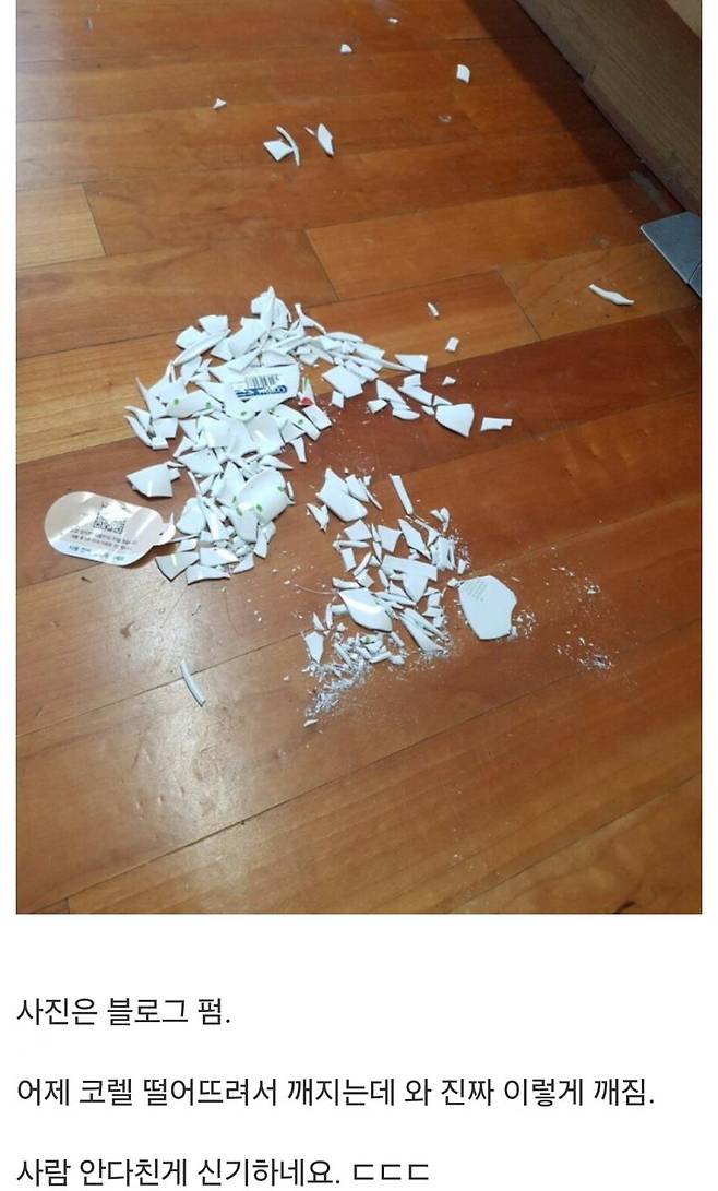 212.jpg 깨지면 ㅈ된다는 악명높은 코렐 그릇.jpg