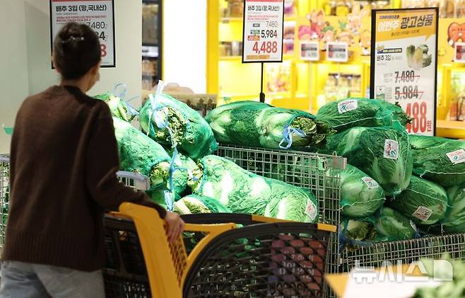 [서울=뉴시스] 고범준 기자 = 15일 서울 용산구 이마트 용산점에서 시민들이 배추를 살펴보고 있다. 2024.11.15. bjko@newsis.com