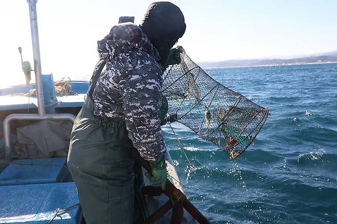 통발 작업하는 최성훈 씨 (울진=연합뉴스) 황수빈 기자 = 경북 울진항에서 귀어 정착 지원 사업인 '마린보이 프로젝트'에 참가하고 있는 최성훈 씨가 통발 작업을 하고 있다. 2024.12.24 hsb@yna.co.kr