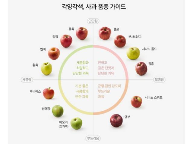 다양한 사과의 품종/사진제공=컬리