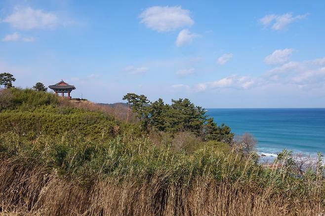 왕피천공원 인근 언덕에 자리한 망양정