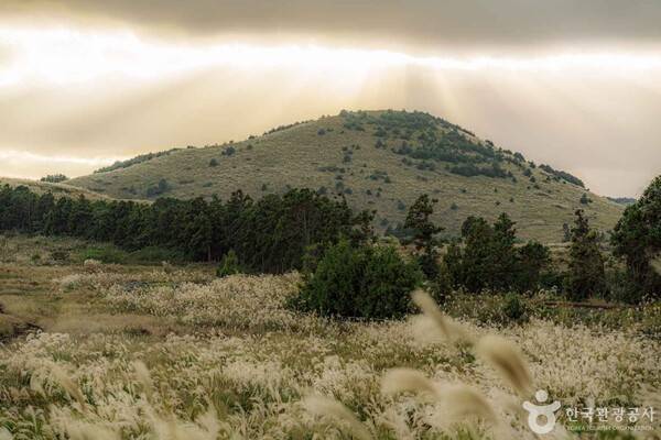 포토코리아-우창민
