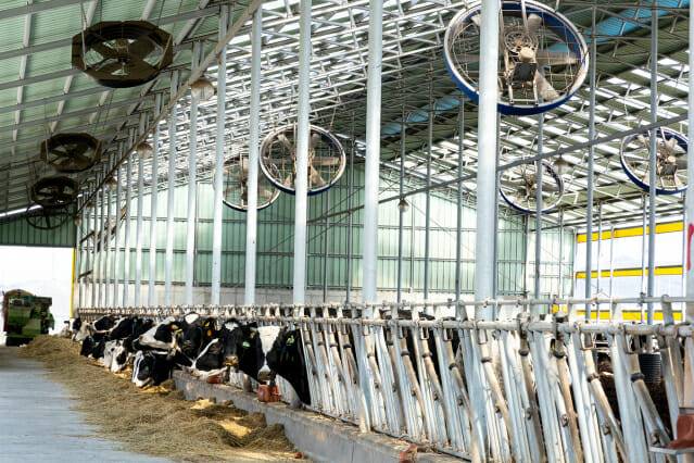낙농업 자료 사진 (사진=이미지투데이)