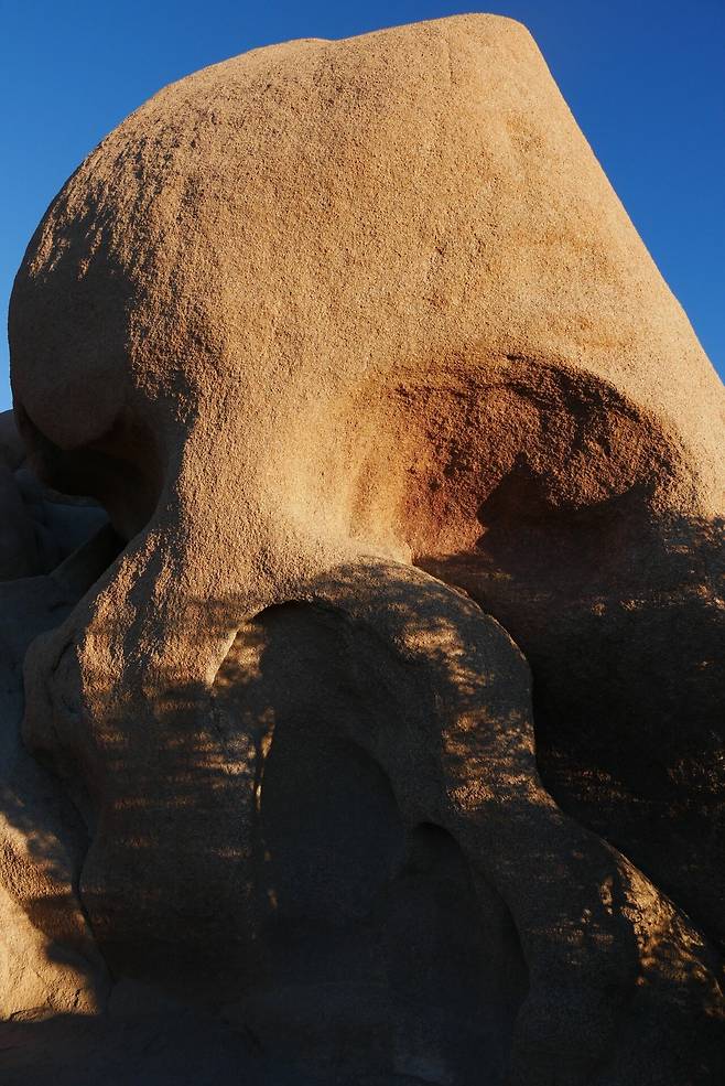 KakaoTalk_20250214_220055056_02.jpg [여행기]44일간 미국여행 10~11 / 조슈아트리