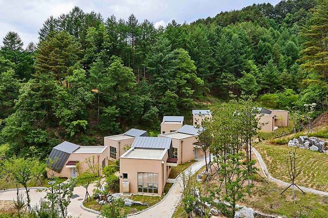 금강송 에코리움