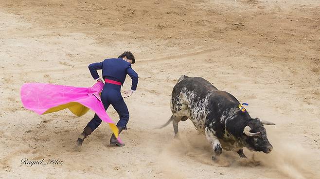 토로스 투우장 / 사진=flickr